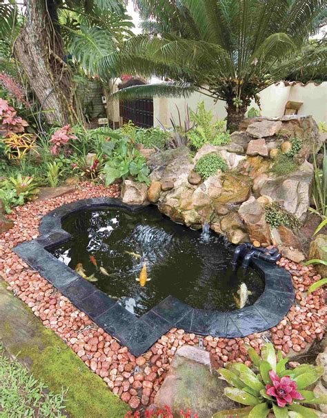 backyard fish pond